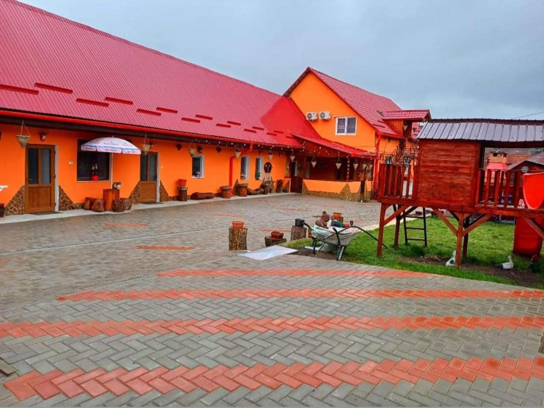 Casa Florilor Barcut Daire Dış mekan fotoğraf