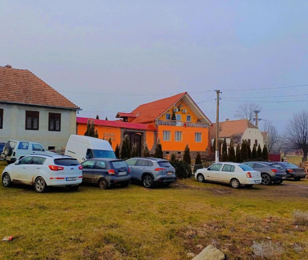 Casa Florilor Barcut Daire Dış mekan fotoğraf