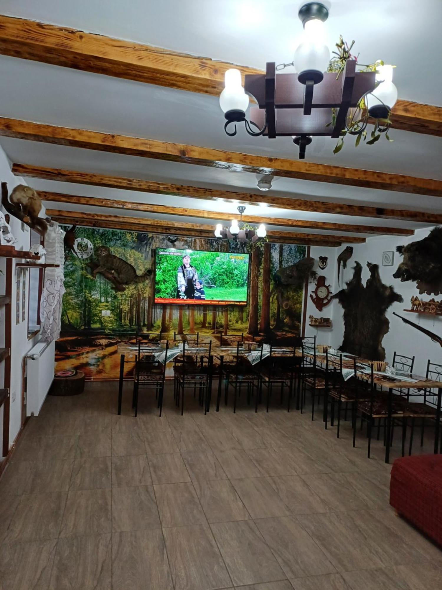 Casa Florilor Barcut Daire Dış mekan fotoğraf