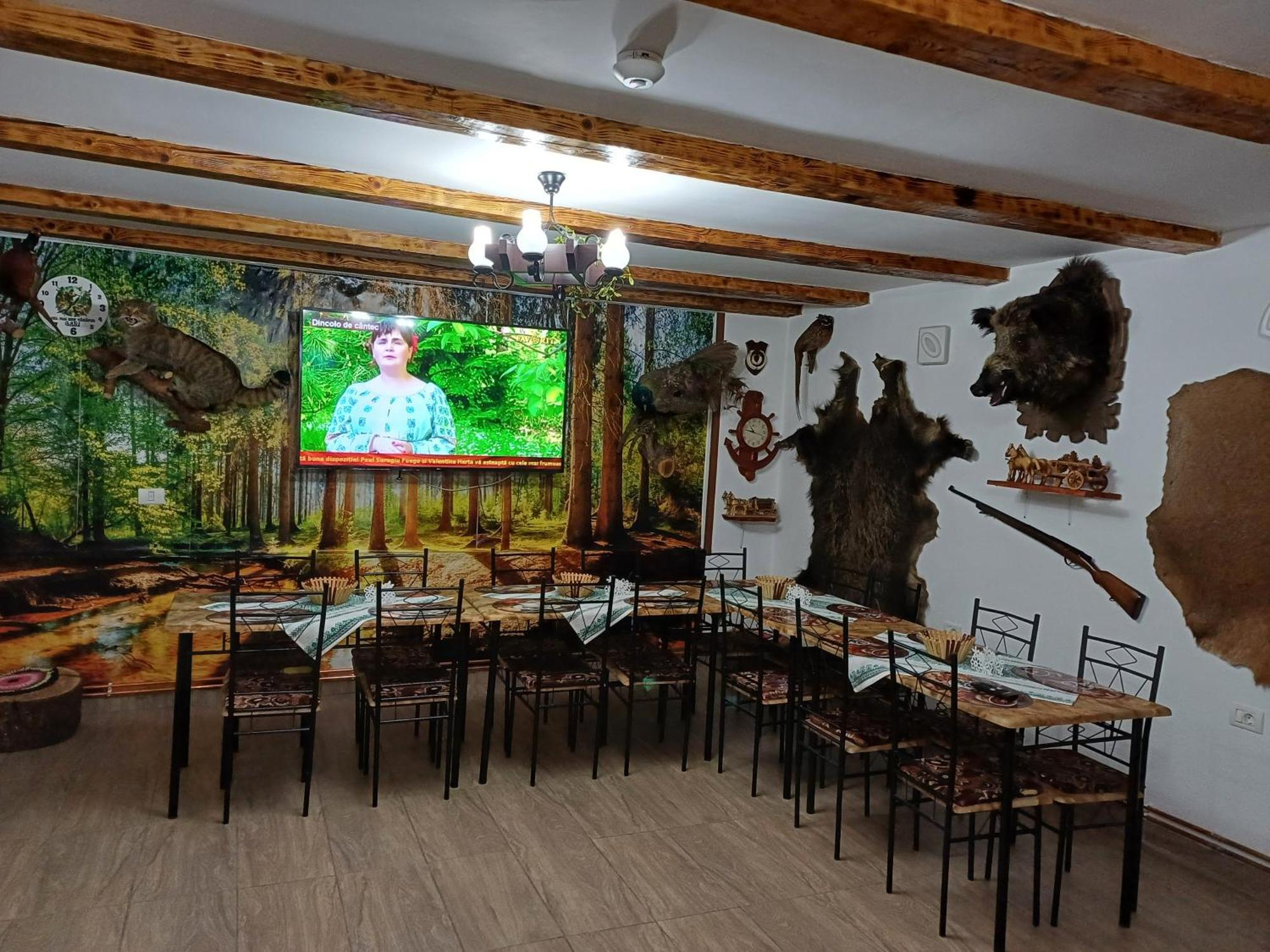 Casa Florilor Barcut Daire Dış mekan fotoğraf