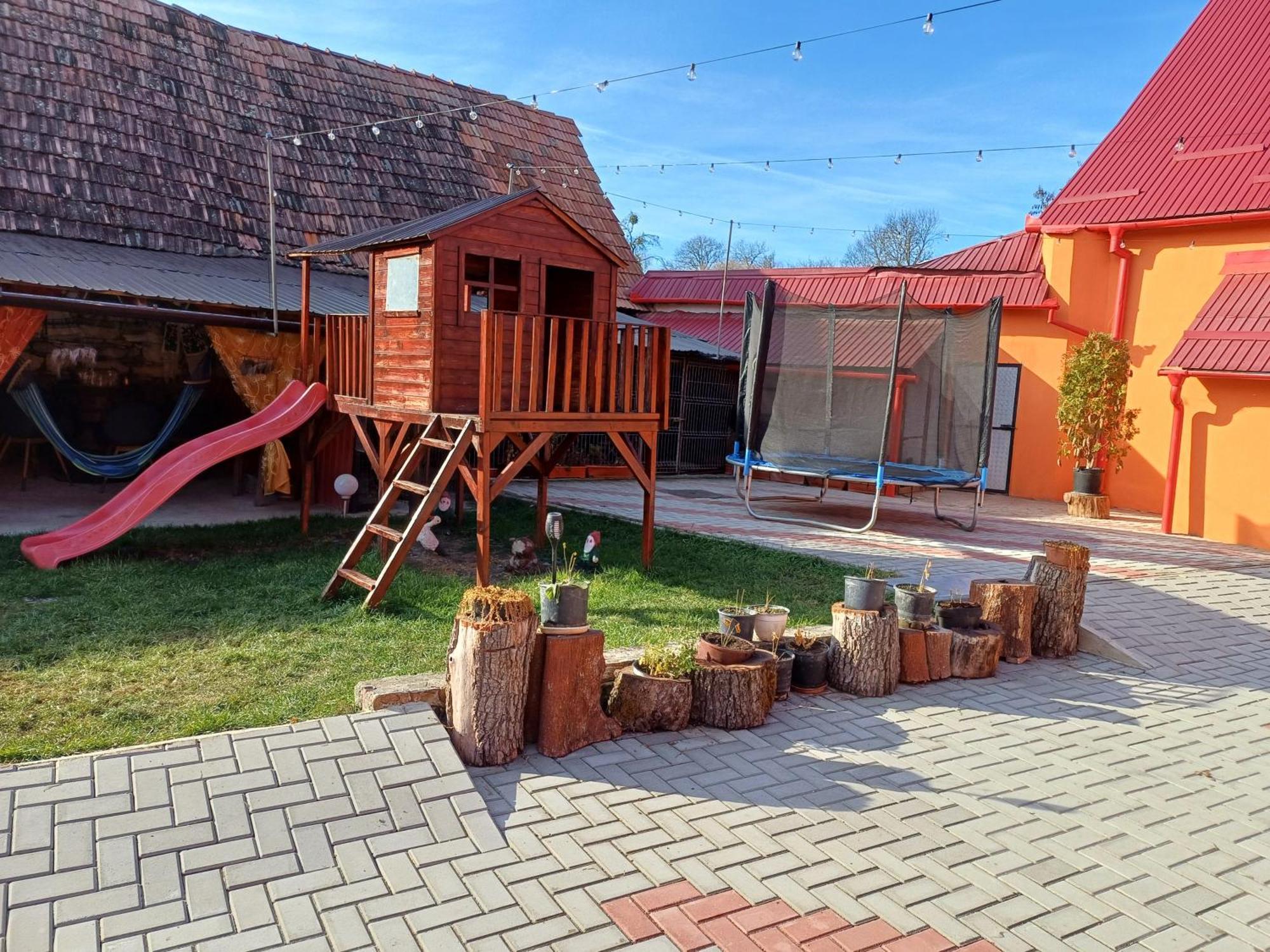 Casa Florilor Barcut Daire Dış mekan fotoğraf